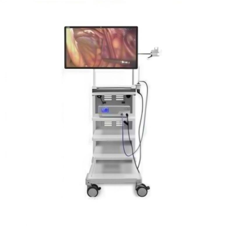 55-inch 4K Endoscopic Display