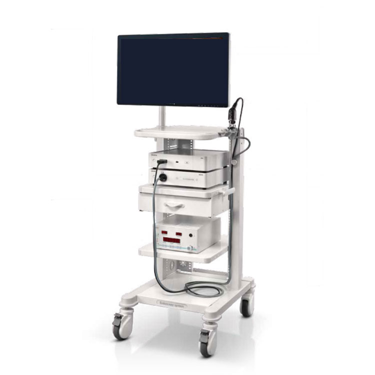 Endoscopic Imaging System