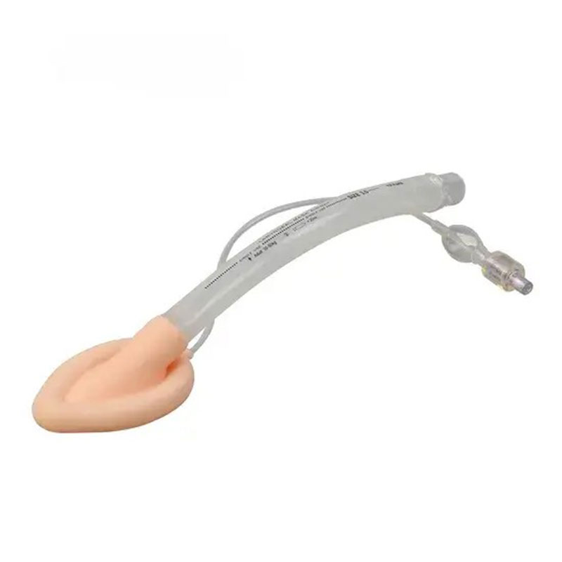 Standard Laryngeal Mask Airway