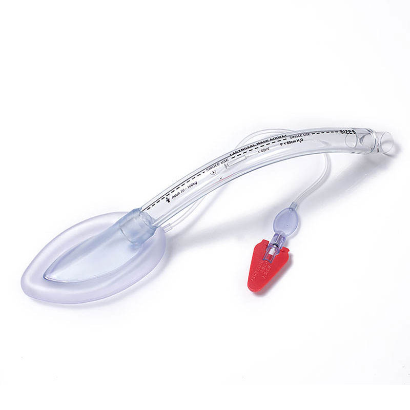 Standard Laryngeal Mask Airway