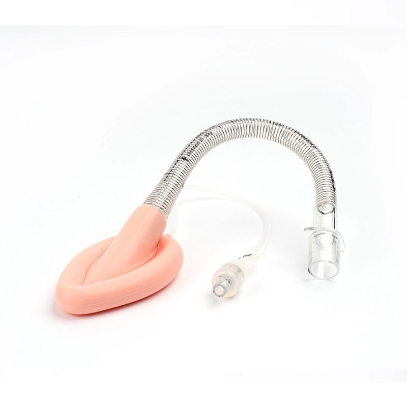 Standard Laryngeal Mask Airway