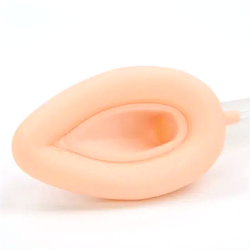 Standard Laryngeal Mask Airway