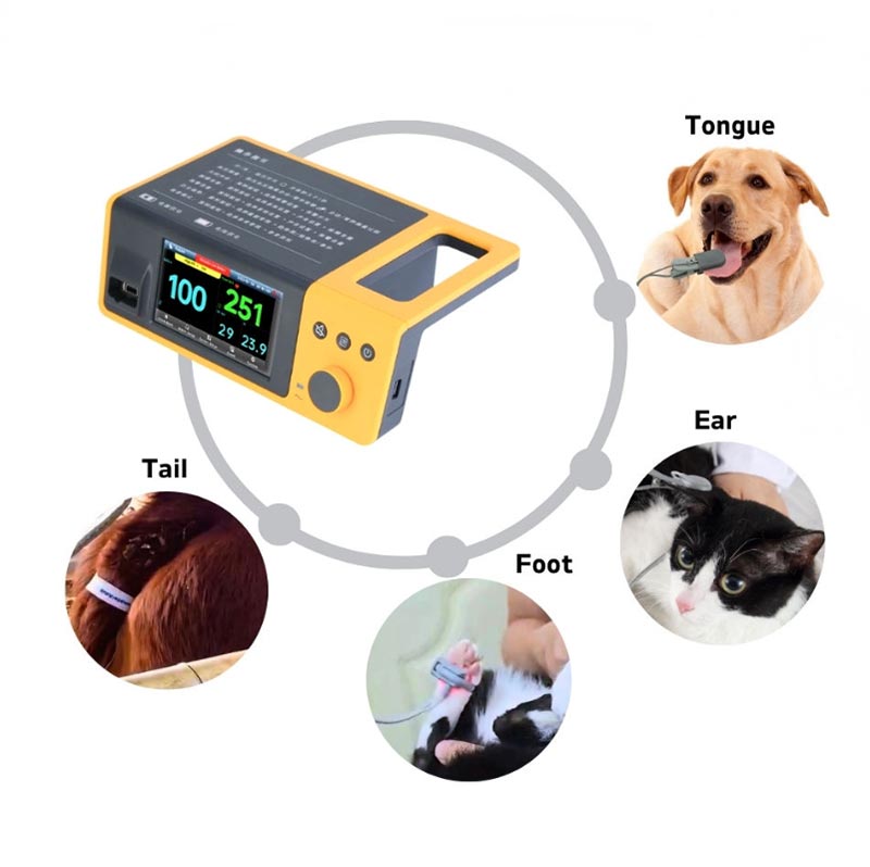 Veterinary Patient Monitor