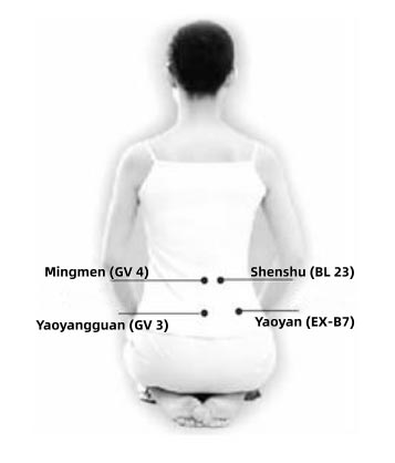 Electric Moxibustion Therapy Device