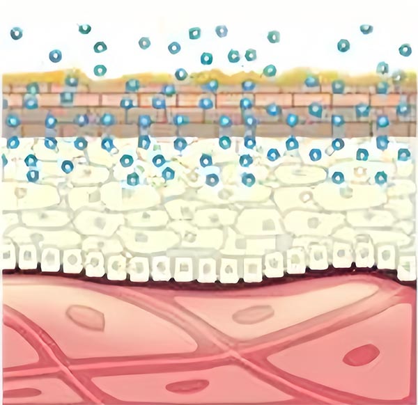Constant Temperature Paraffin Therapy Device
