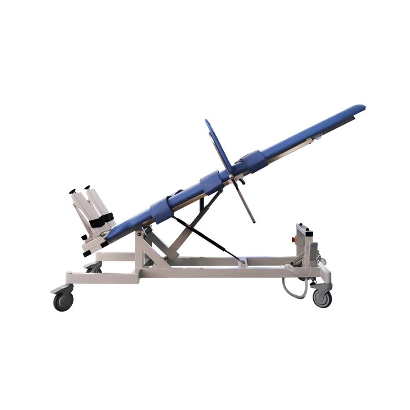 Electric Standing Training Rehabilitation Bed