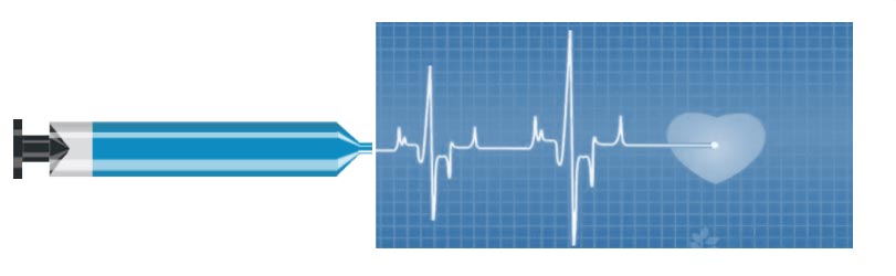 CT Double Barrel High Pressure Injection System