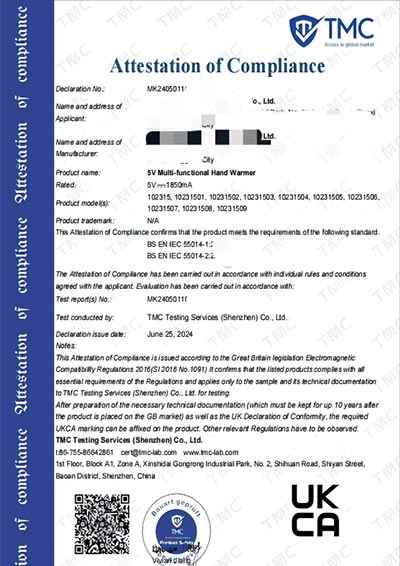 Rehabilitation Devices