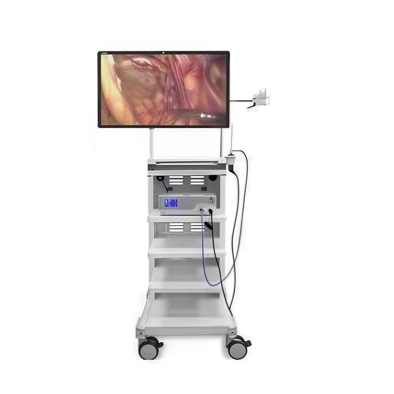 32-inch 4K Endoscopic Display